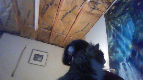 IMG 20230701 124501.jpg