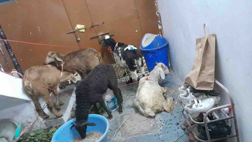 DEFDAC0E EA2A 4F8E A2DF 7F9CD9F3AE05.jpg