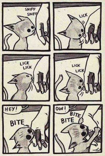 8298CA0C 8288 4779 BBDD F2E8F98360F6.jpg