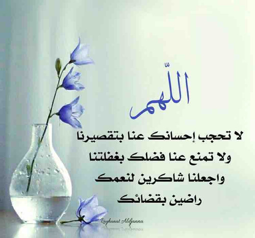 78023544 85F3 477D B572 DE26F519A4EB.jpg