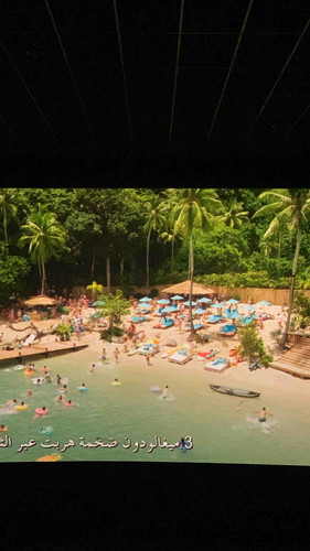 8B45DE36 C37E 4357 9931 C072BBABDDC5.jpg