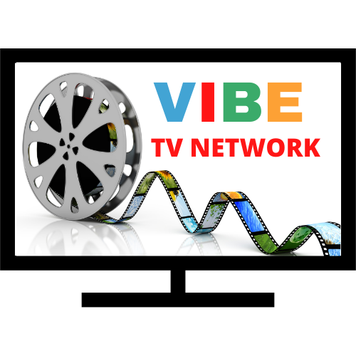 vibe logo Multi 500x500.png