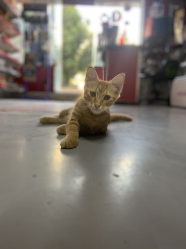 D9E43C6A FDF0 4DA7 9774 C3E09BA52877.jpg