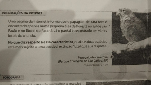 2a73f727 b6bb 49dc 9524 9cd1bd59653f.jpg