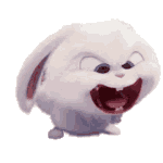 rabit.gif