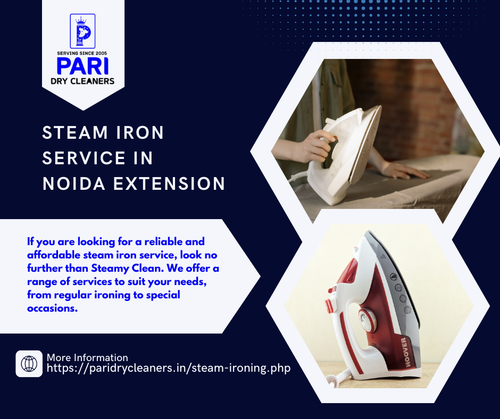 Steam Iron Service in Noida Extension.png