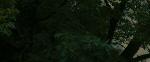The.Last.of.the.Mohicans.1992.Directors.Cut.1080p.BluRay.10Bit.X265.DD.5.1 Chivaman.mkv.1:40:05.png