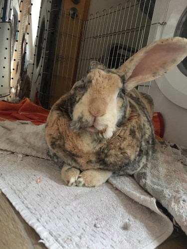 IMG 20200218 WA0026.jpg