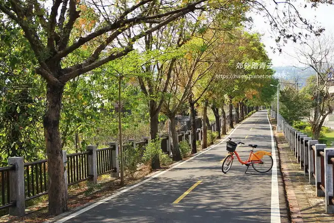 紅葉連天的黃連木也是東豐自行車道一大看點