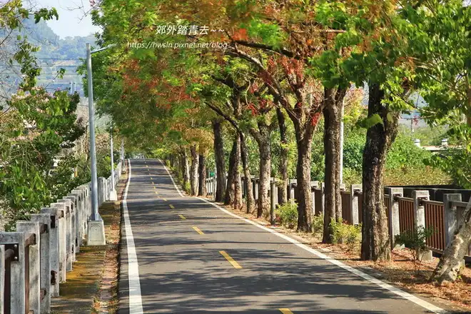 東豐自行車道上的黃連木紅葉繽紛