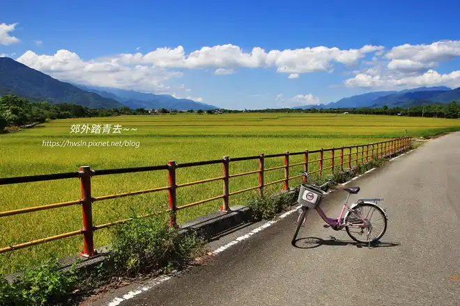關山環鎮自行車道，展望金黃綠野平疇
