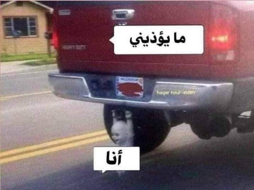 FB IMG 1688508082809.jpg