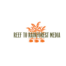 white reef.png