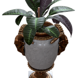 image removebg preview (9).png