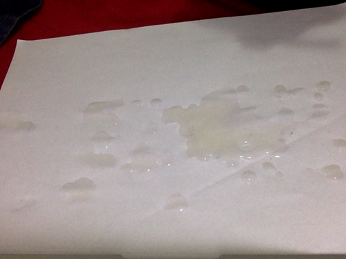 18902124 1979069638992873 303623360 n.png