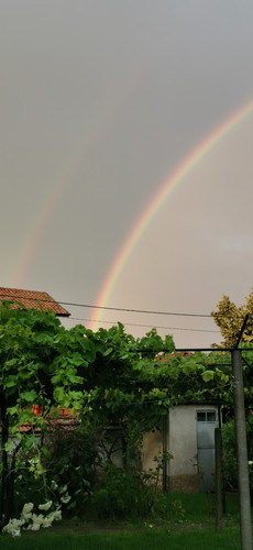 IMG 20230702 202937.jpg