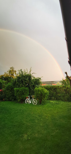 IMG 20230702 202742.jpg