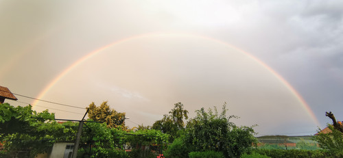 IMG 20230702 203006.jpg