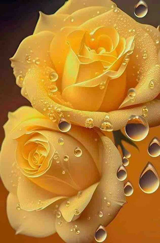 F94302D9 2F66 40DB BCF0 02A20F885F32.jpg