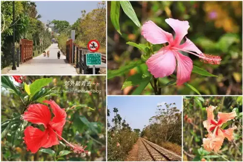 20230316 0384 1.webp