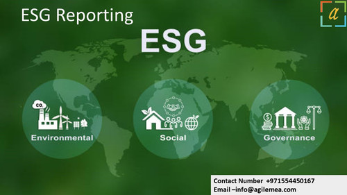 ESG Reporting 14.jpg