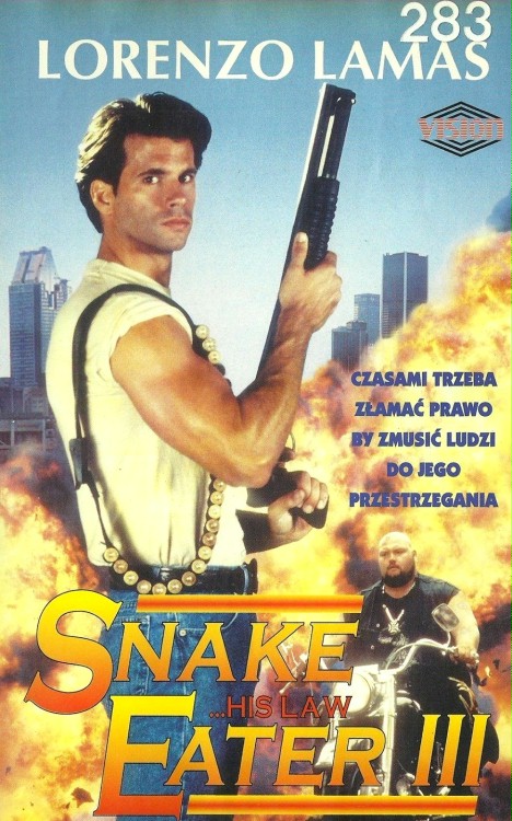 Zjadacz węży 3 / Snake Eater III: His Law (1992) PL.1080p.BDRip.H264-wasik / Lektor PL