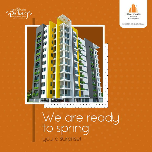 81581547 1470642213086389 7512985196229033984 n.jpg