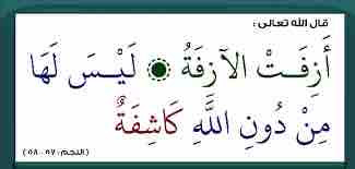 A10788C1 71BA 4055 8EA9 BC9F5FF31100.jpg