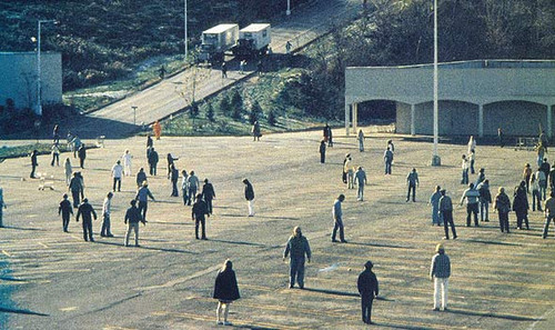 dawn of the dead 590x350.jpg