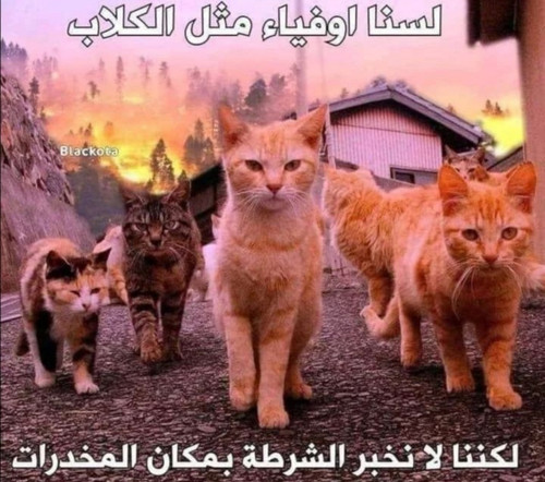 Screenshot ٢٠٢٣٠٧٠٦ ٠٨٠٤٥٥.jpg