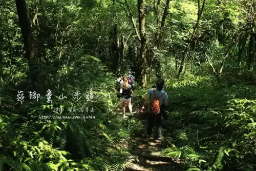 20150516 153.webp