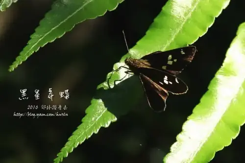 20150516 044.webp