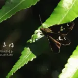 20150516 044