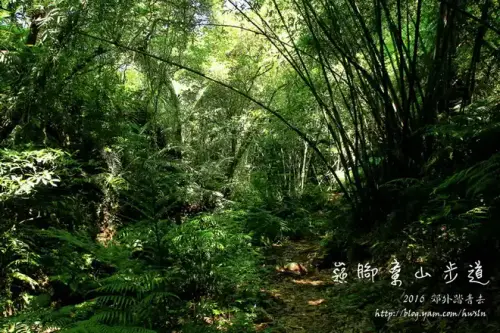 20150516 145.webp