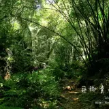 20150516 145