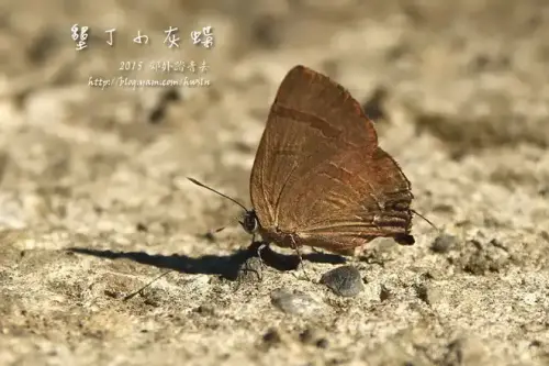 20141018 110.webp