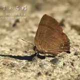 20141018 110