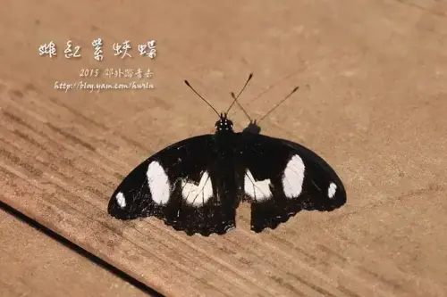 20141018 170.webp