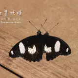 20141018 170