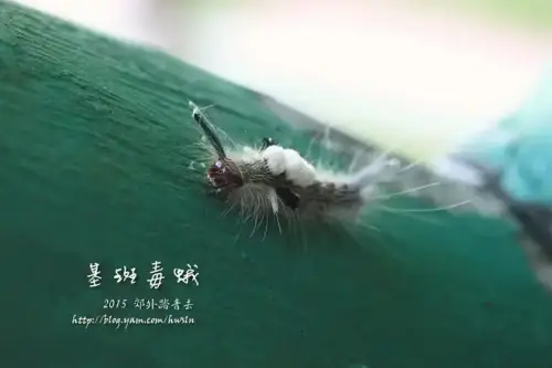 20141018 078.webp