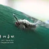 20141018 078