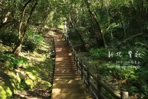 20141018 025.webp