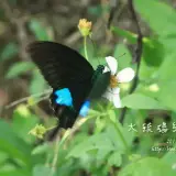 20141018 199