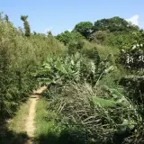 20141018 226