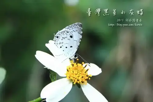 20141018 214.webp