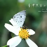 20141018 214