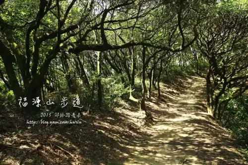 20141018 315.webp