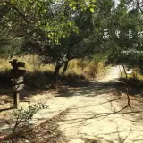 20150117 147