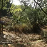 20150117 286