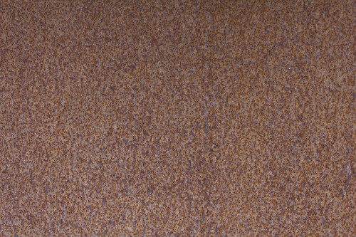 IMG 7273.jpg